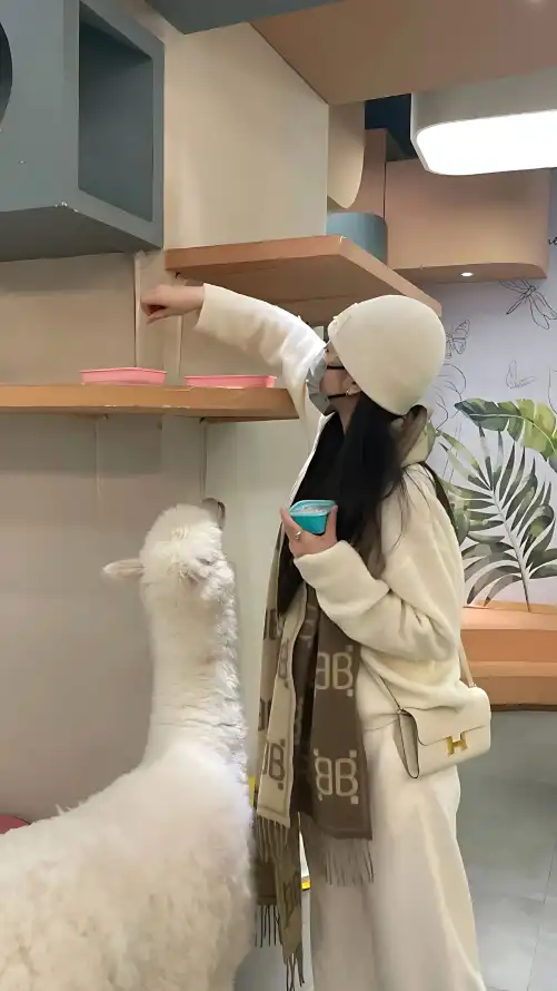欧美在线看片a免费观看_少妇人妻偷人精品视频_波多野结衣Aⅴ在线播放